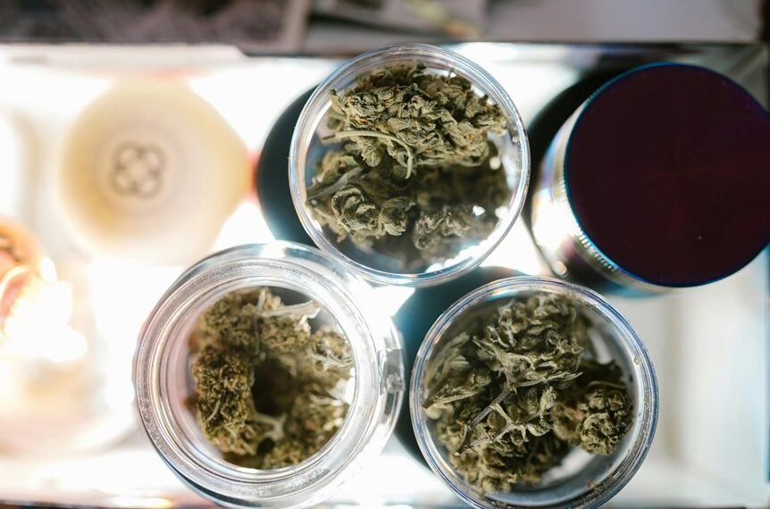 Quantumleaf Cannascan 8014123121 Vornyx Hempbyte