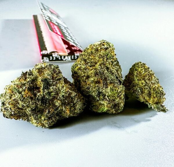 Synapsehemp Techflora 9123314029 Koryx Cannode