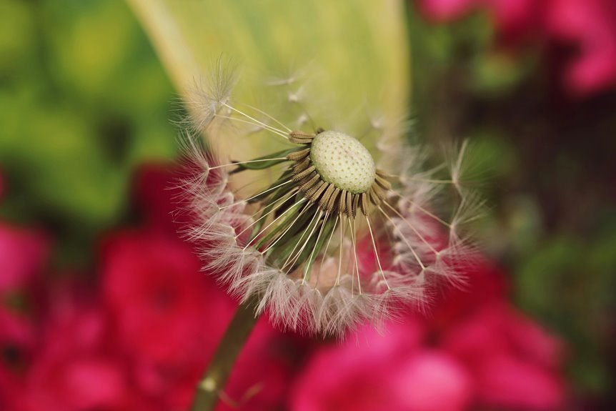 homemade backyard weed killer