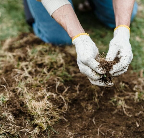 homemade weed killer recipe
