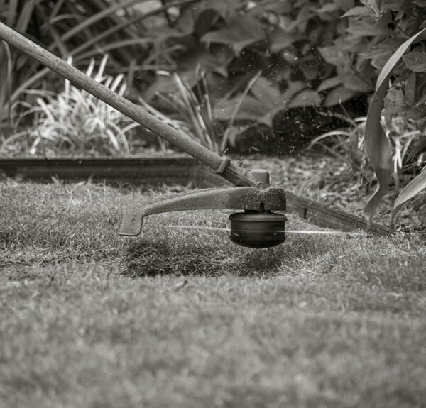 homemade weed killer tips