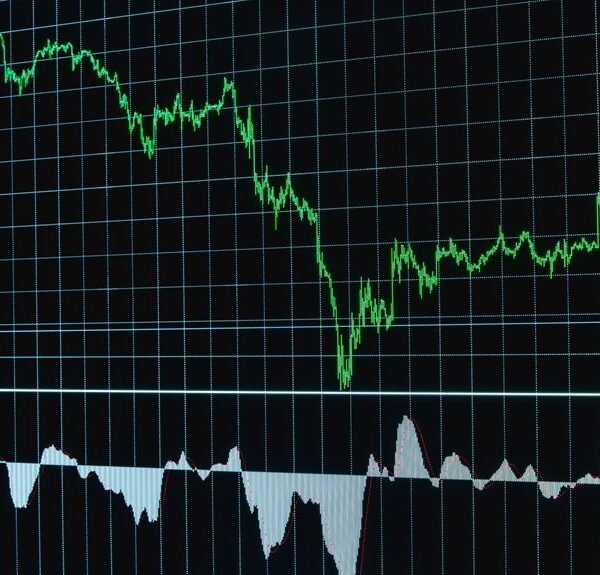 cbd market global trends