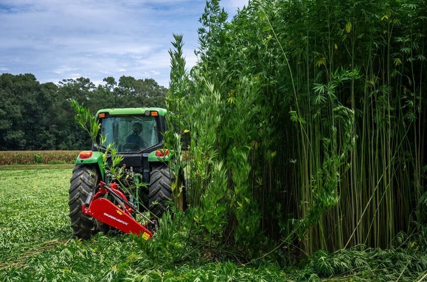 commercial hemp farming methods