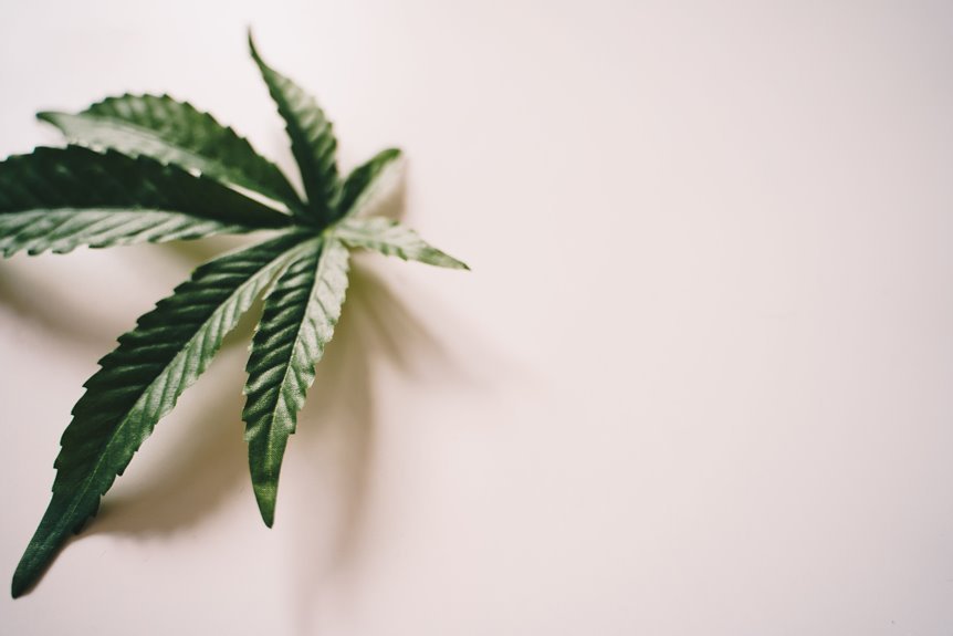 pure cbd product insights